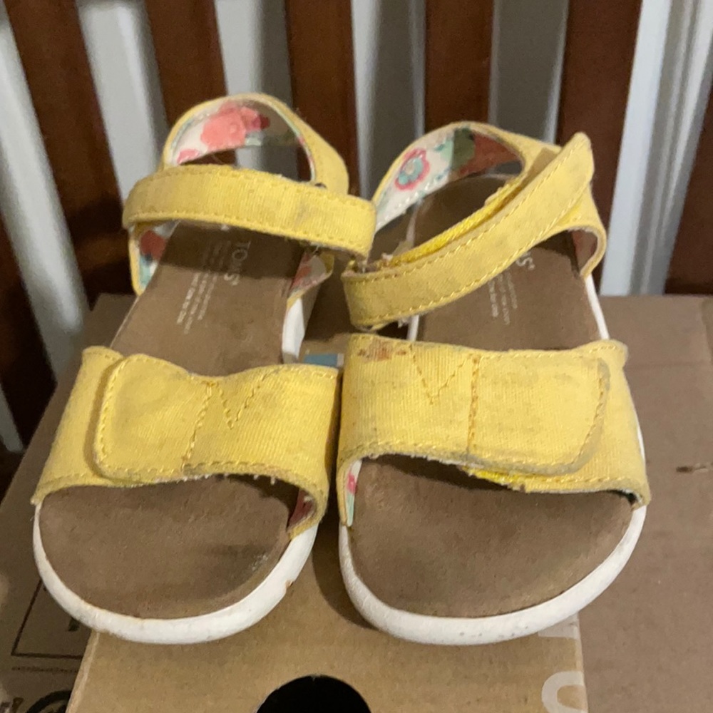 Toms toddlee girl. Size 7.